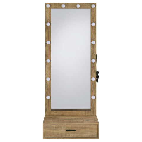 Baney 1-drawer Lighted Full-Length Floor Mirror Mango