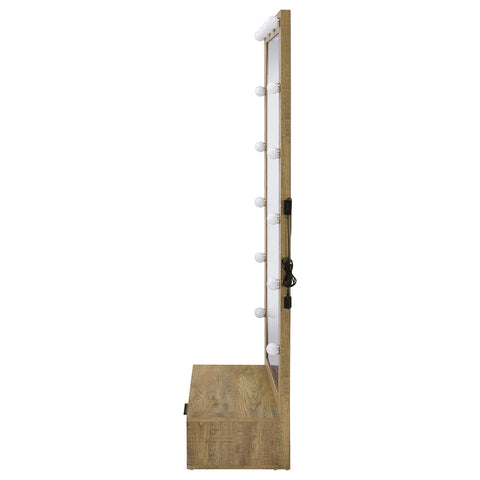 Baney 1-drawer Lighted Full-Length Floor Mirror Mango