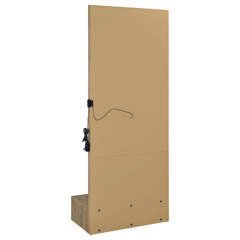 Baney 1-drawer Lighted Full-Length Floor Mirror Mango