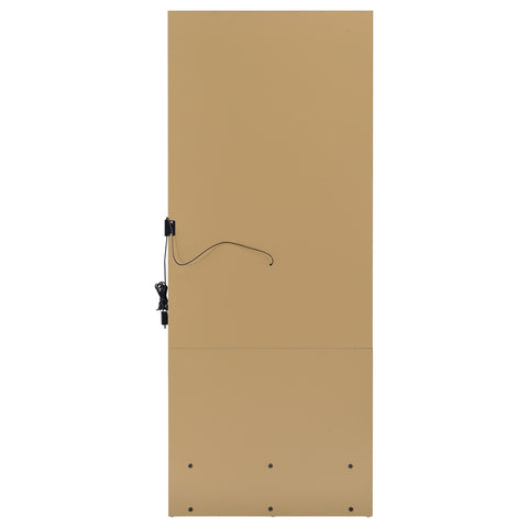 Baney 1-drawer Lighted Full-Length Floor Mirror Mango