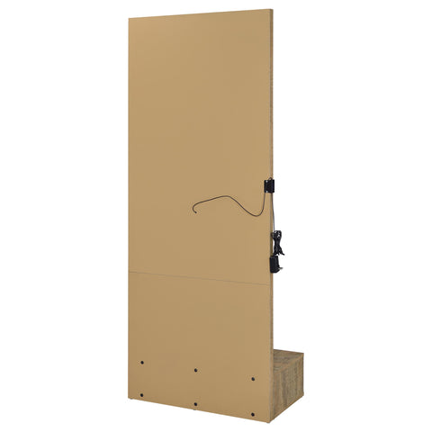Baney 1-drawer Lighted Full-Length Floor Mirror Mango