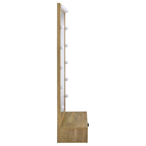Baney 1-drawer Lighted Full-Length Floor Mirror Mango