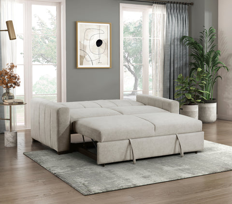 Aziel (2)Convertible Sofa with Pull-out Bed