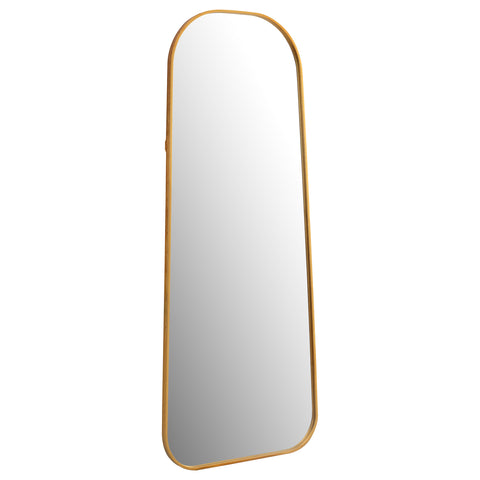 Sarandon 20 x 52 Inch Full Length Floor Mirror Antique GoldAntique Gold