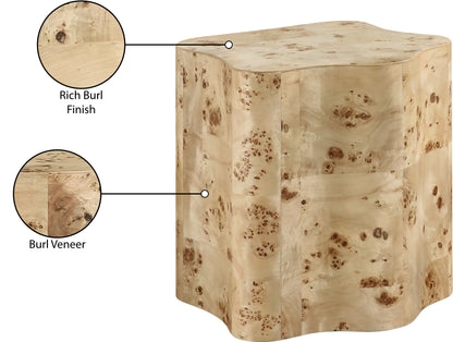 Arlington Natural Burl Wood End Table