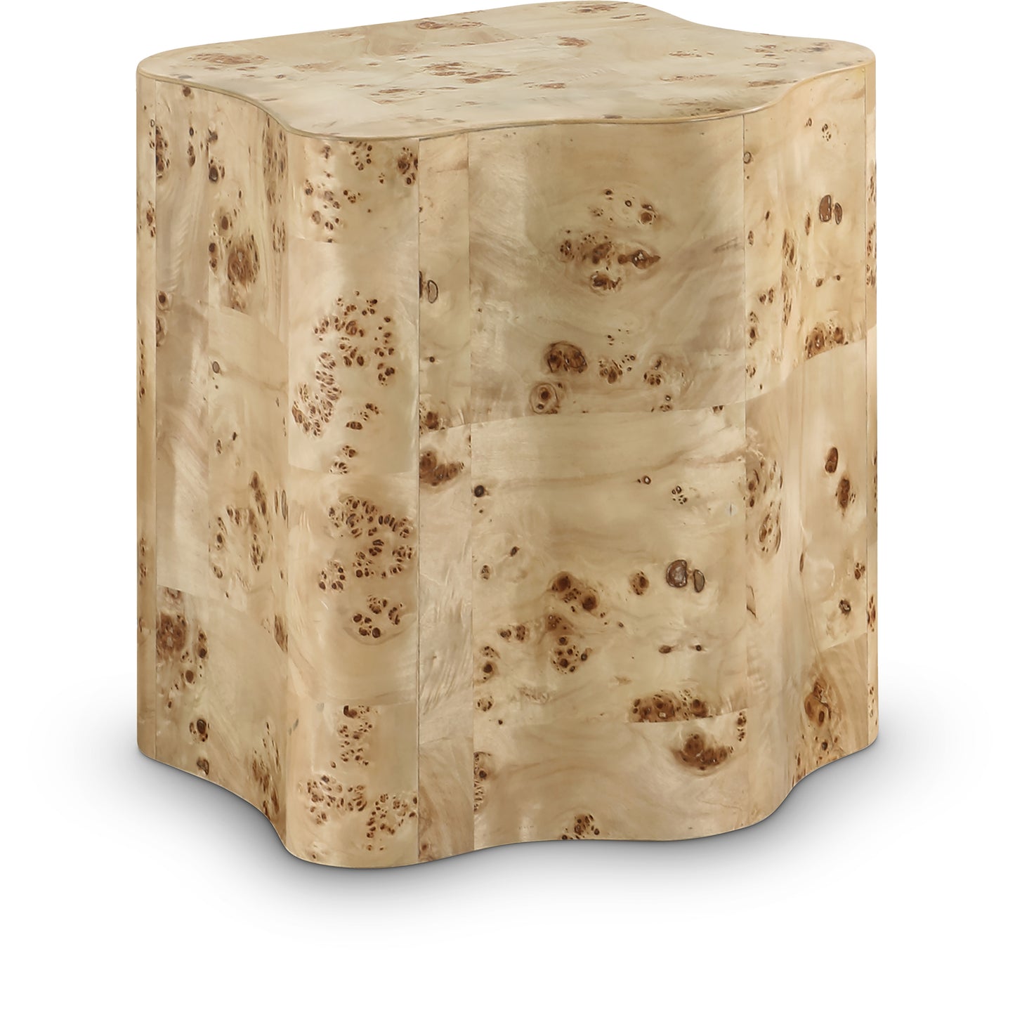 arlington natural burl wood end table