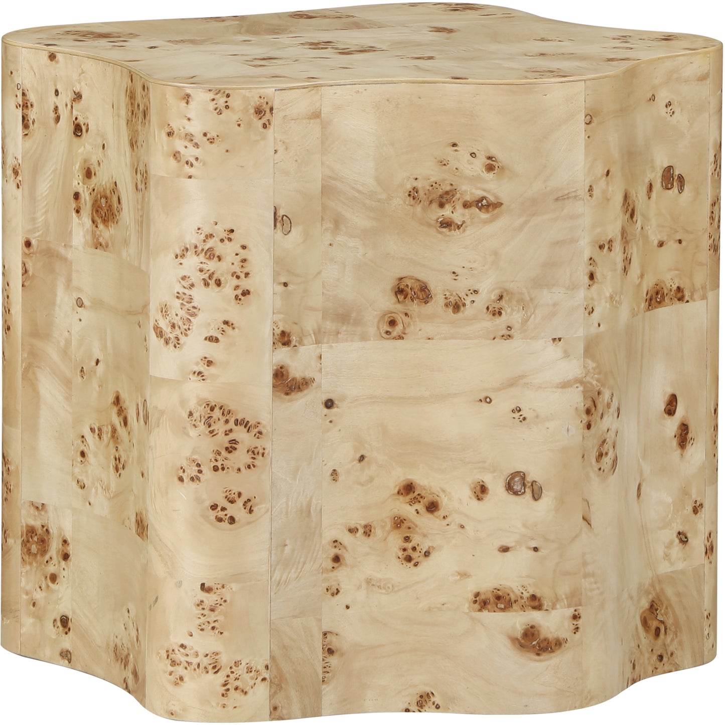 arlington natural burl wood end table