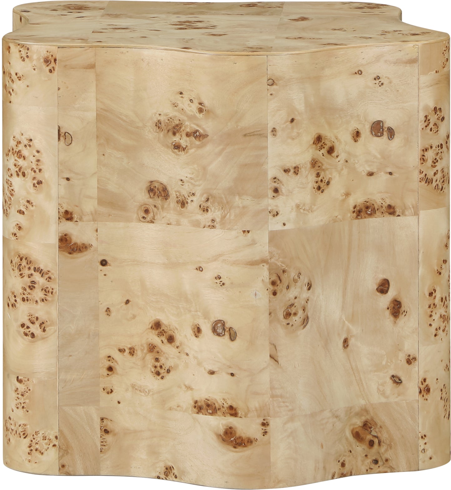 arlington natural burl wood end table