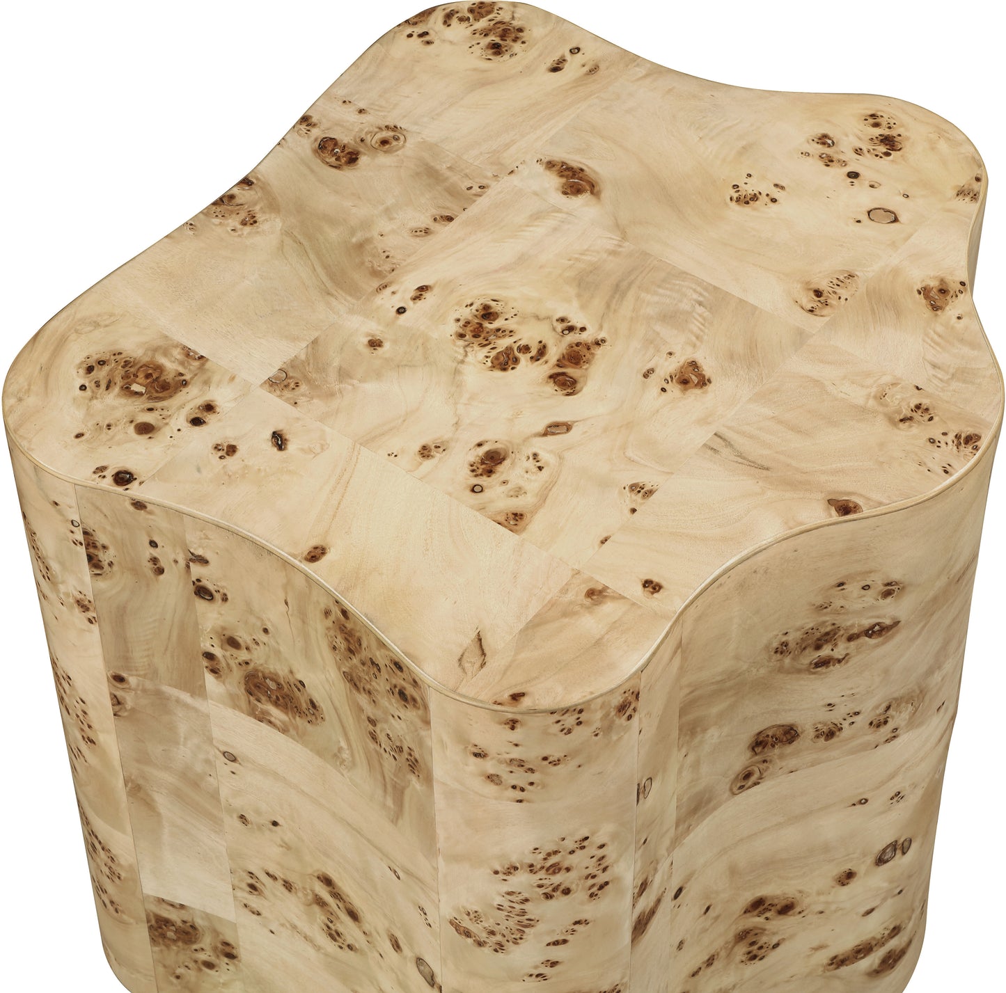 arlington natural burl wood end table