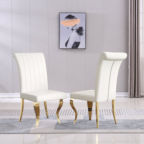Salvatore DINING CHAIR (SET OF 2)