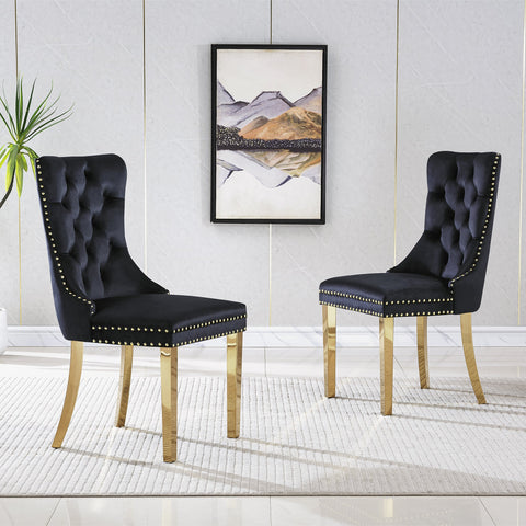 Guido DINING CHAIR (SET OF 2)