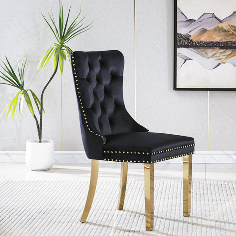 Guido DINING CHAIR (SET OF 2)