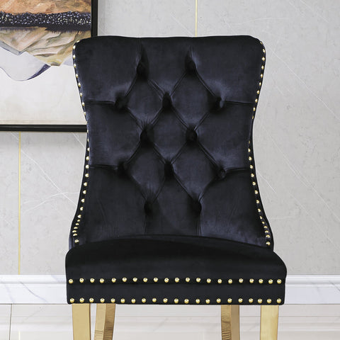 Guido DINING CHAIR (SET OF 2)