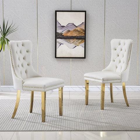 Guido DINING CHAIR (SET OF 2)