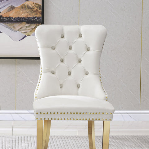 Guido DINING CHAIR (SET OF 2)
