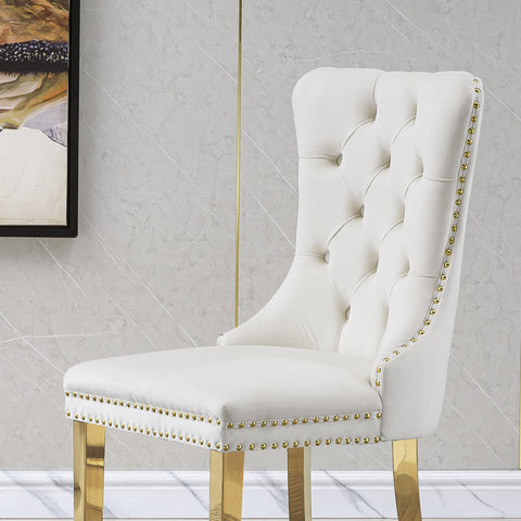Guido DINING CHAIR (SET OF 2)