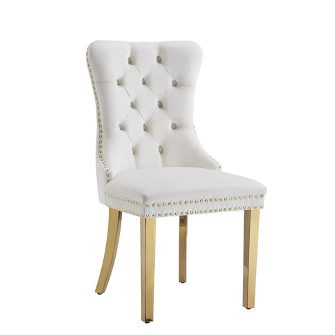 Guido DINING CHAIR (SET OF 2)