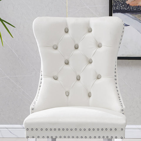 Guido DINING CHAIR (SET OF 2)