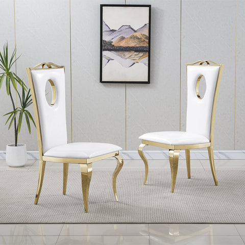 Riccardo DINING CHAIR (SET OF 2)