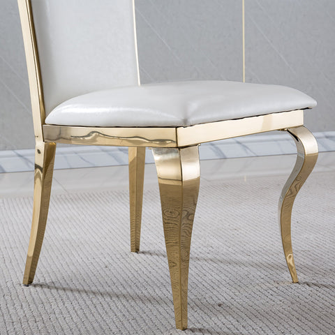 Riccardo DINING CHAIR (SET OF 2)