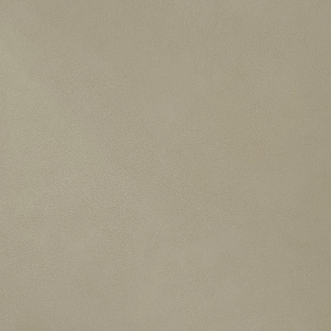 Hendrix Beige Faux Leather Queen Bed Q