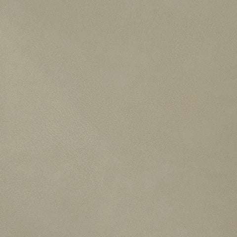 Hendrix Beige Faux Leather Twin Bed T