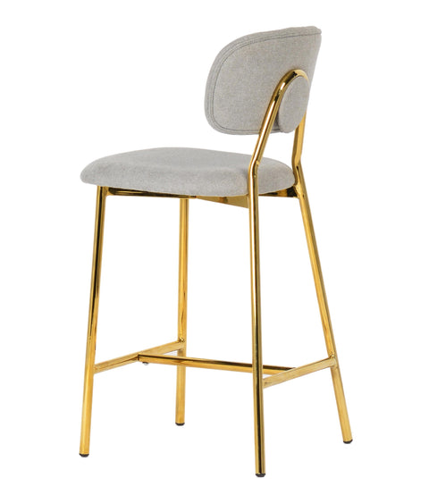 Catarina Grey Counter Stool (Set of 2)