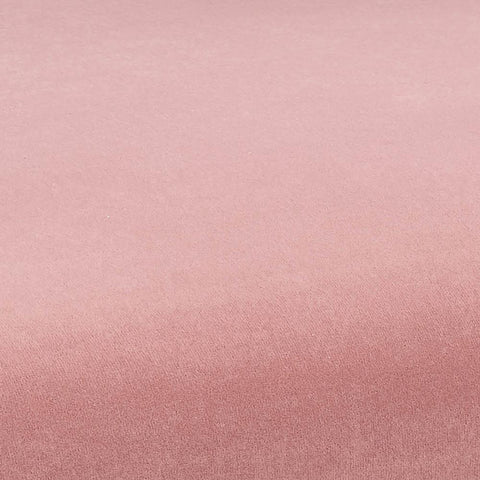 Kinsley Performance Velvet Chair in Blush