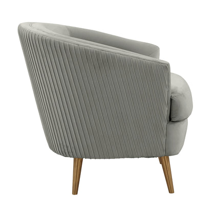 Raipur Light Grey Velvet Accent Chair