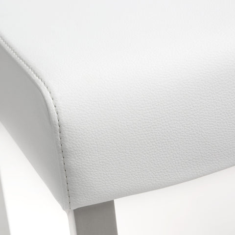 Lara White Stainless Steel Counter Stool (Set of 2)