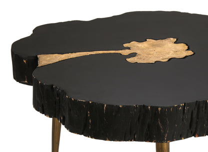 Kayla Black and Brass Coffee Table