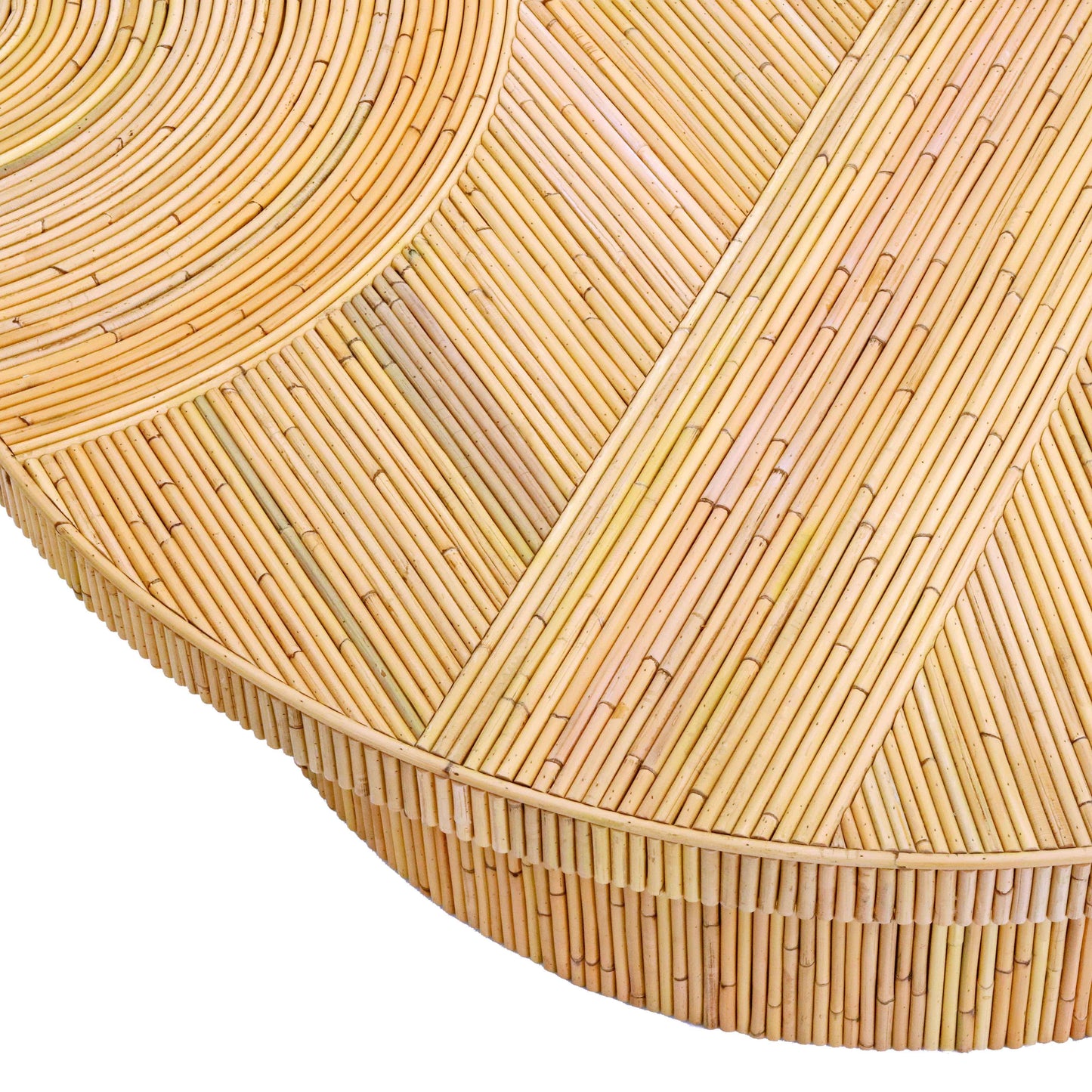 aloe rattan coffee table