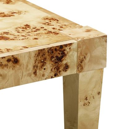 Vanessa Natural Burl End Table