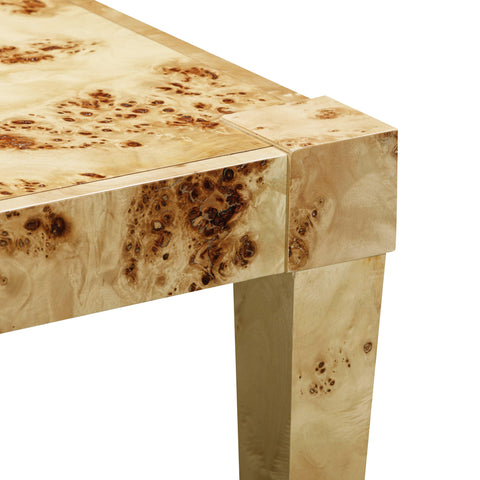 Vanessa Natural Burl End Table