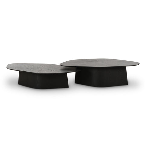 Anais Siena 2-Piece Ash Nesting Coffee Table Set - image 1