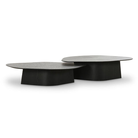 Anais Siena 2-Piece Ash Nesting Coffee Table Set - image 3