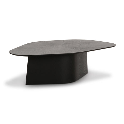 Anais Siena 48" Ash Geometric Coffee Table - image 1
