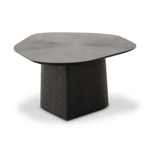 Anais Siena 48" Ash Geometric Coffee Table - image 4