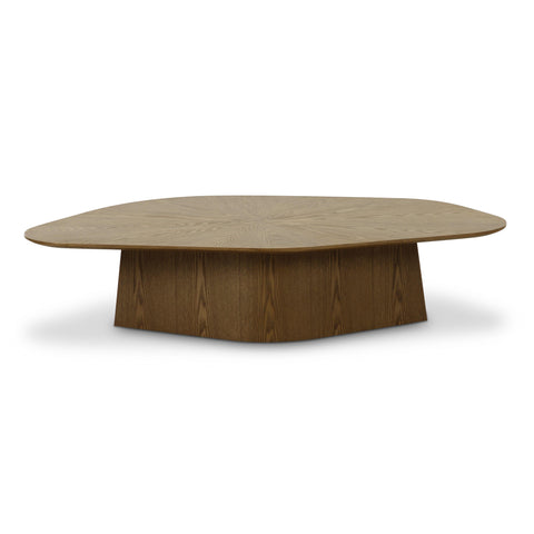 Anais Siena 50" Ash Low Coffee Table - image 3
