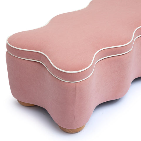 Anais Verona 48.5" Performance Velvet Storage Bench - image 4