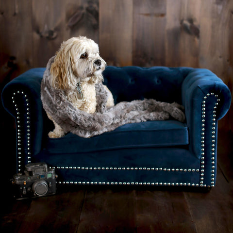 Rishi Navy Pet Bed