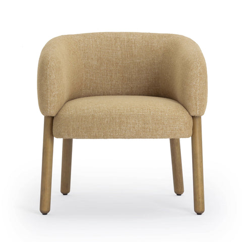 Lucienne Garda Performance Fabric Accent Chair - image 3