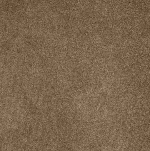 Indie Beige Velvet Upholstered Queen Bed, 1 Piece (Style 2)