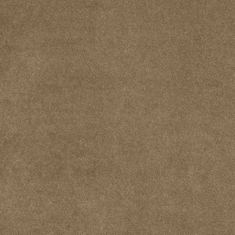 Indie Beige Velvet Upholstered Twin Bed, 1 Piece (Style 2)