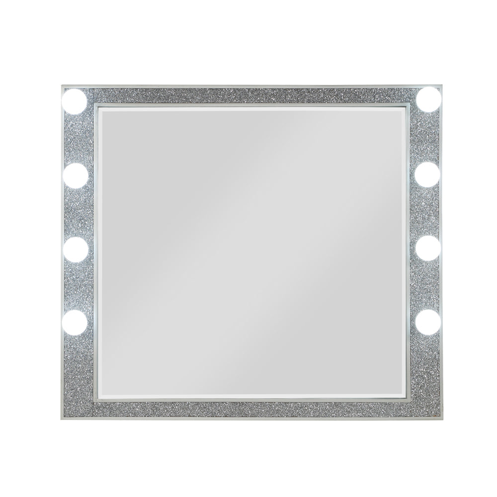 mirror w/light