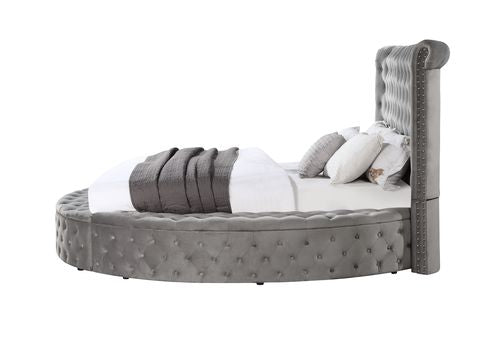 reggie ek bed w/storage, gray velvet