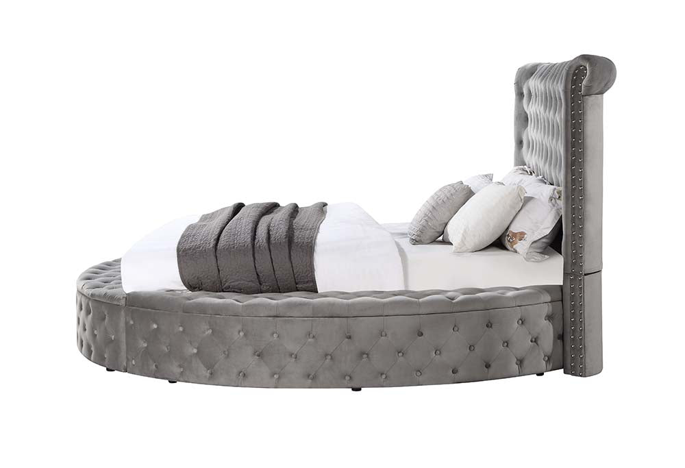 reggie queen bed w/storage, gray velvet