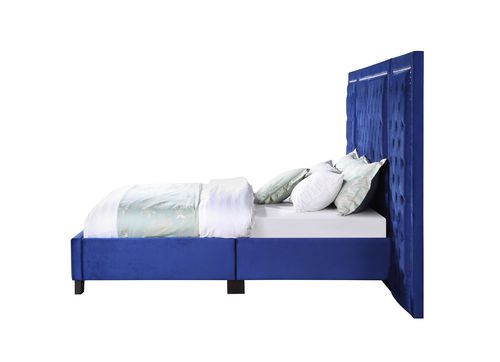 rehan ek bed, blue velvet