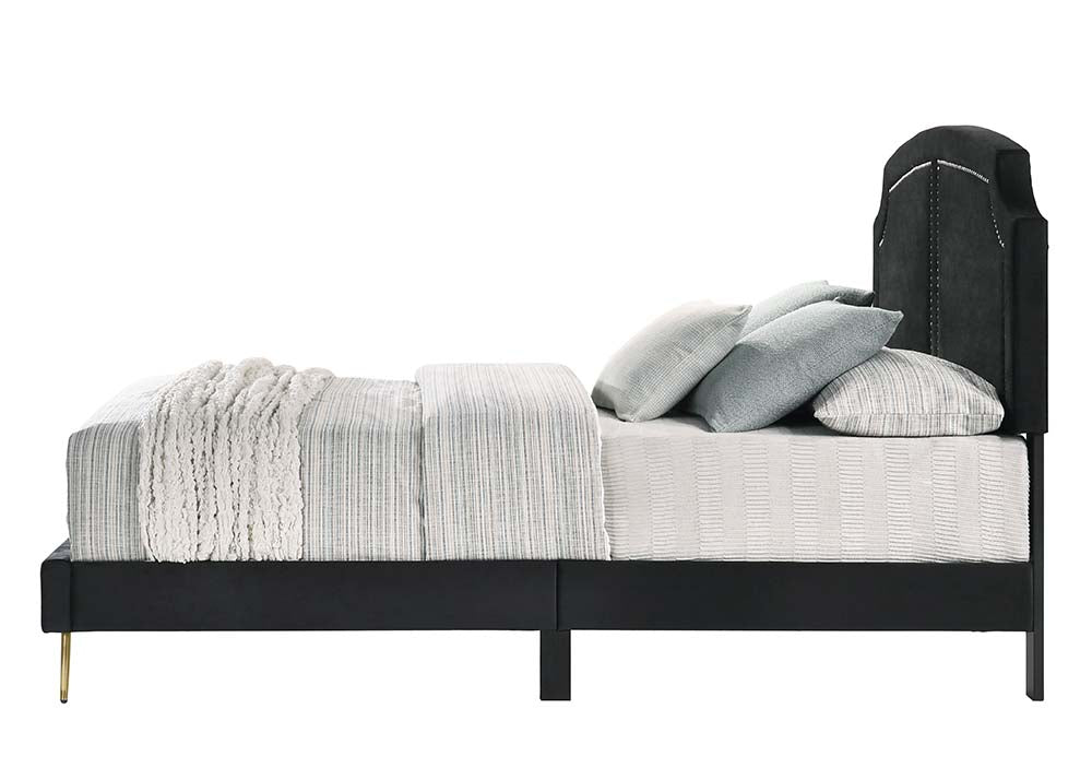 renell queen bed, black velvet