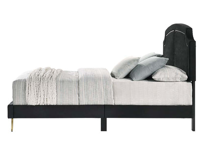 Renell Queen Bed, Black Velvet